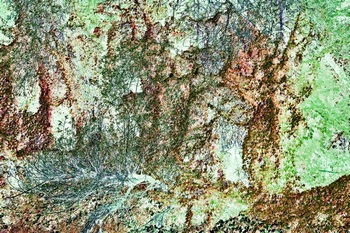N 159C